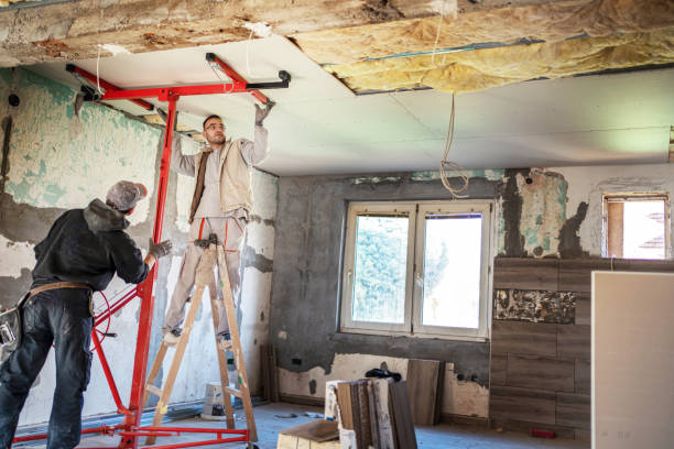 Best Spray Foam Insulation  in Southmayd, TX